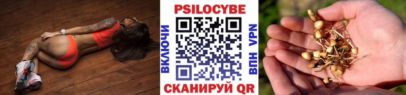 Псилоцибиновые грибы MAGIC MUSHROOMS  Кушва 