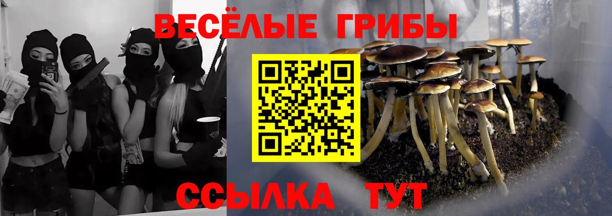 Псилоцибиновые грибы Psilocybe Кушва